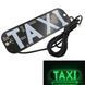 Купить LED Табличка TAXI 12V Зеленый 19 x 6 см (С Прикуркой) 82475 Подсветки - Стопы внутрисалонные
