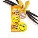 Освежитель Сухой Листик Areon Smile Dry