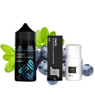 Купить Жидкость Chaser Самозамес Special Berries 30ml Bilberry Mint Черничная мята 84821 Жидкости от CH