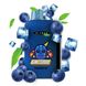 Купити Flavors GH23000 / pf Blueberry Ice Чорниця Лід 80516 Одноразові POD системи