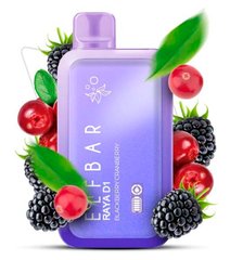 Купити Flavors RAYA D13000pf 18 ml Blackberry Cranberry (Журавлина Ожина) З Індикацією 66872 Одноразові POD системи