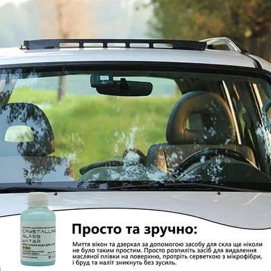 Купити Омивач скла концентрат 1:100 Nowax Антимошка Літній 250 мл Вишня (NX25225) 101250 Рідина у бачок омивача (Зима - Літо)
