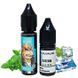 Купити Piдина Самозаміс Flavorlab FL350 Mini 15ml Mint gum М'ятна жуйка 79615 Рідини FL