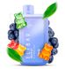 Купить Flavors RAYA D13000pf 18 ml Blueberry Gami (Черника Желейный Медведь) С Индикацией 66874 Одноразовые POD системы