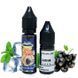 Купити Piдина Самозаміс Flavorlab FL350 Mini 15ml Currant Menthol Смородина Ментол 79617 Рідини FL