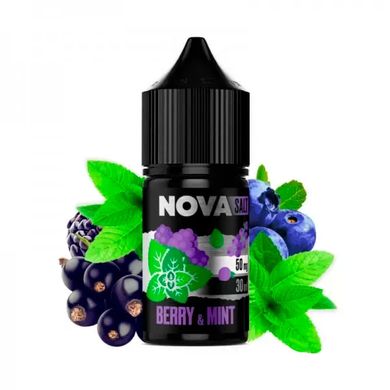 Купить Жидкость NOVA от Chaser 30 ml 50 mg Berry Mint Ягоды Мята 66686 Жидкости от Chaser