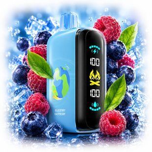 Купить ЕІf Ваг RAYA GН25000 Blueberry Raspberry Черника Малина 110809 Одноразовые системы
