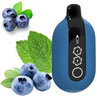 Купити Roqy 20.000 Blueberry Mint (Чорниця М'ята) 89882 Одноразові системи