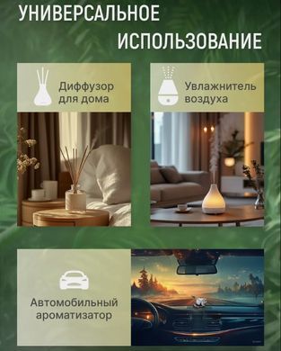 Купить Аромамасло для многоразовых ароматизаторов в авто LEMON 10 мл с пипеткой (Лимон) 81333 Ароматизаторы спрей