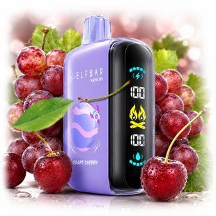 Купить ЕІf Ваг RAYA GН25000 Grape Cherry Виноград Вишня 110811 Одноразовые системы