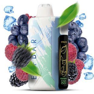 Купити ЕІf Ваг Nіс Кіng 30000 Blue Razz Ice (Блакитна Малина Лід) 87010 Одноразові системи