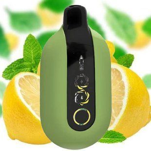 Купить Roqy 20.000 Lemon Mint (Лимон Мята) 89887 Одноразовые системы