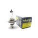 Автолампа галогенна Narva Standart / H4 / 60/55W / 12V / 1 шт (48881)