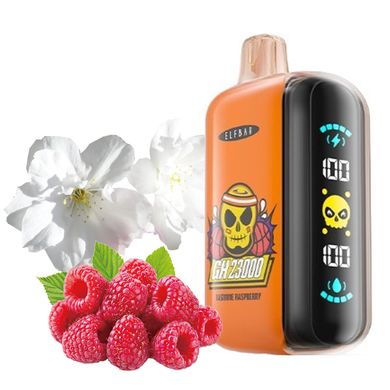 Купити Flavors GH23000 / pf Jasmine Raspberry Жасмин Малина 74306 Одноразові POD системи